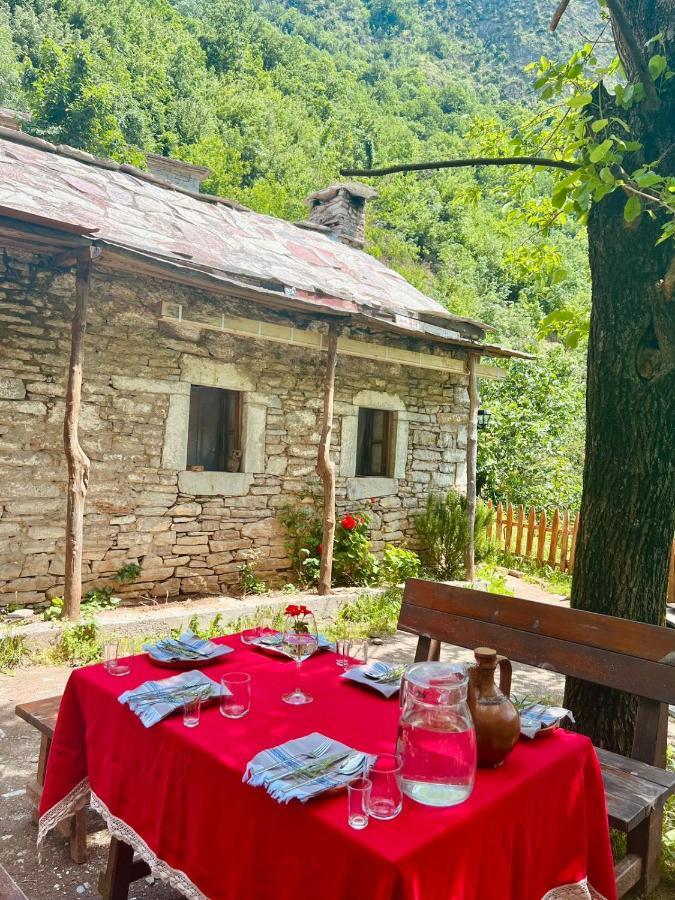Hotel Neomalsore Agrotourism, Komani Lake Esterno foto
